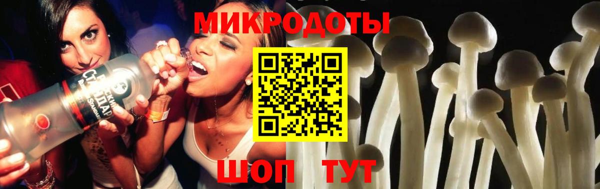 Галлюциногенные грибы мухоморы Курск